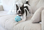 Jw Hol-Ee Roller Trend-Ee Blauw
