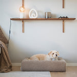 Bia Bed Premium Hoes Teddy Beige