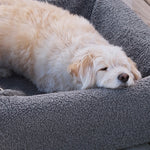 Bia Bed Premium Hoes Teddy Grijs