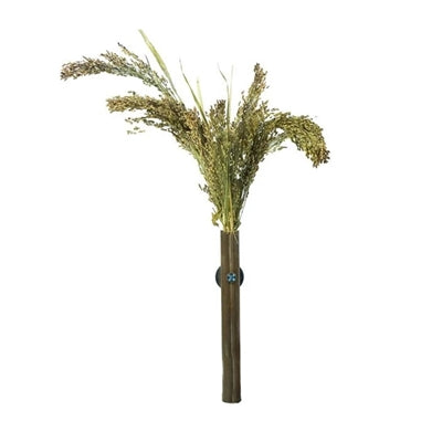 Back Zoo Nature Millet Panicum