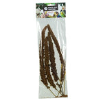 Back Zoo Nature Franse Trosgierst Rood