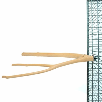 Back Zoo Nature Multi Branch