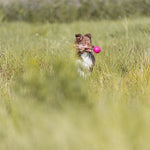 Trixie Werpbal Soft & Strong Tpr Roze