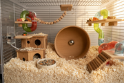 De ultieme gids voor een natuurlijke en verrijkende hamsterwereld