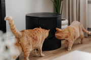 FUSE Design Kattenbak (zwart)