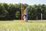 Trixie Dog Activity Agility Slalom Stokken Blauw / Oranje
