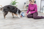Trixie Dog Activity Strategiespel Ball&Treat Lichtgrijs / Blauw