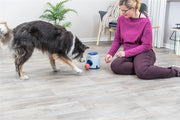 Trixie Dog Activity Strategiespel Ball&Treat Lichtgrijs / Blauw