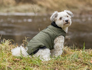 Trixie Hondenjas Arlay Donkergroen