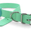 Morso Halsband Hond Waterproof Gerecycled Carribean Green Groen