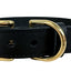 Sazzz Halsband Hond Braveheart Classic Leer Zwart