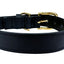 Sazzz Halsband Hond Braveheart Classic Leer Zwart