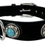 Sazzz Halsband Hond Adventure Stone Classic Leer Zwart