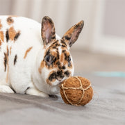 Trixie Kokosbal