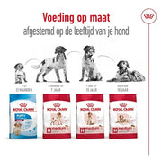 Royal Canin Medium Adult
