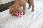 Jw Hol-Ee Roller Trend-Ee Roze