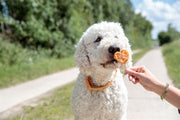 Trixie Premio Lolly Met Kip En Rijst