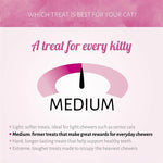Antos Cat Soft Sticks Madame Zalm / Forel
