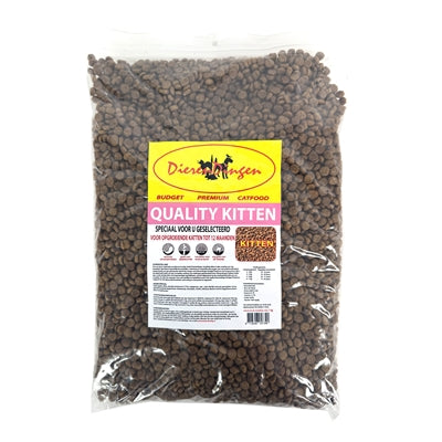 Budget Premium Quality Kitten