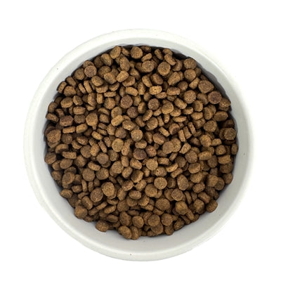 Budget Premium Quality Kitten