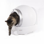 Martin Automatische Kattenbak Wit