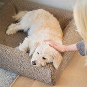 Bia Bed Premium Hoes Teddy Beige
