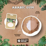 Back Zoo Nature Arabic Gum