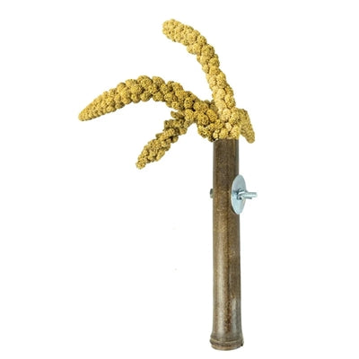 Back Zoo Nature Grass Keeper