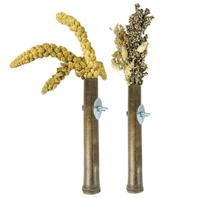 Back Zoo Nature Grass Keeper