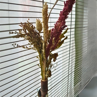 Back Zoo Nature Grass Keeper