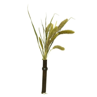 Back Zoo Nature Millet Setaria