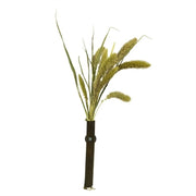 Back Zoo Nature Millet Setaria