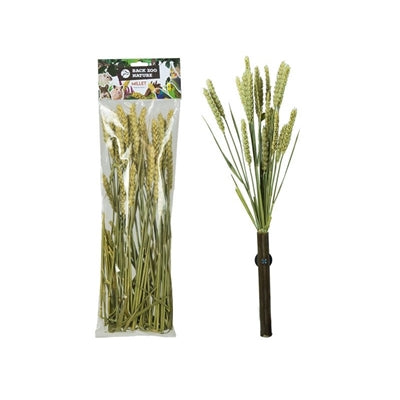 Back Zoo Nature Millet Tarwe