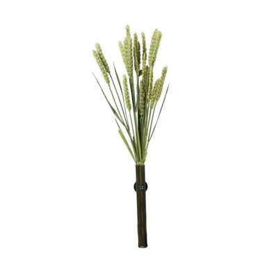 Back Zoo Nature Millet Tarwe