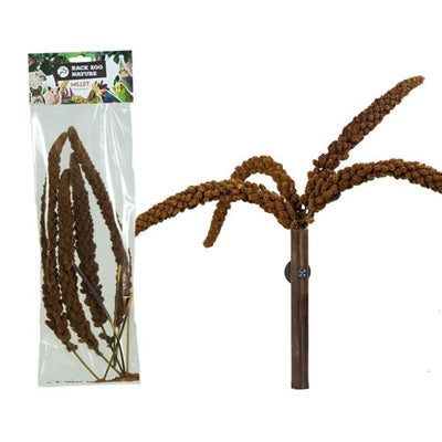 Back Zoo Nature Franse Trosgierst Rood