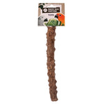 Back Zoo Nature Pepper Wood Perch