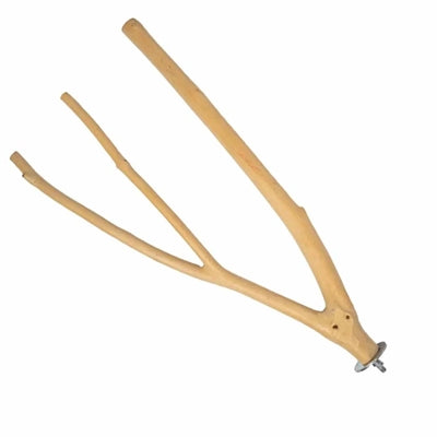 Back Zoo Nature Multi Branch