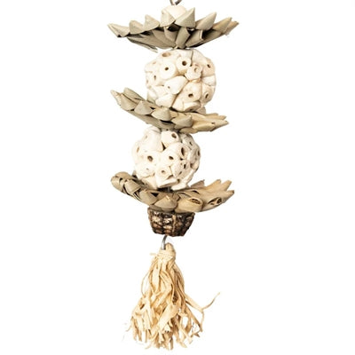 Back Zoo Nature Palm Star Balls