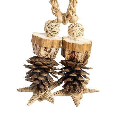 Back Zoo Nature Forest Ring