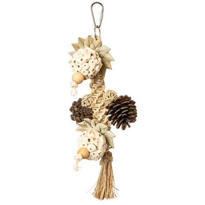 Back Zoo Nature Stunny Sunny