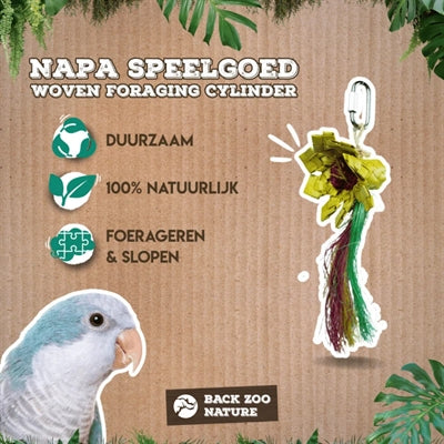 Back Zoo Nature Sunflower