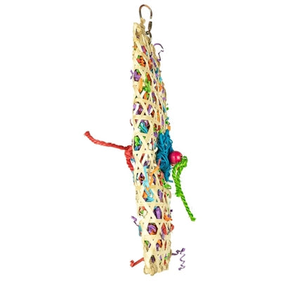 Back Zoo Nature Taco Waco