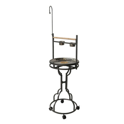 Papegaaienstandaard DUKE