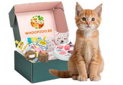 Katten Fun & Snack Box