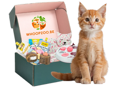 Katten Fun & Snack Box