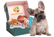 Honden Fun & Snack Box