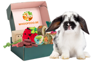 Konijnen Fun & Snack Box