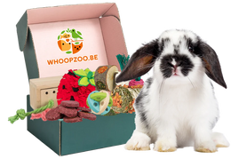 Konijnen Fun & Snack Box
