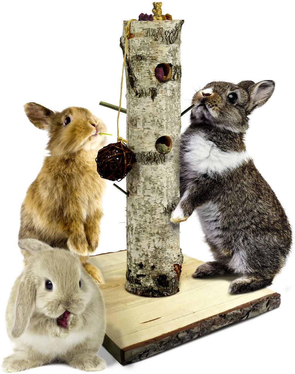 "BACK TO INSTINCT" SPEELBOOM 38*38*58CM JR FARM