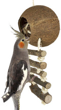 COCONUT MET LADDER